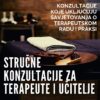 Stručne konzultacije za terapeute i učitelje