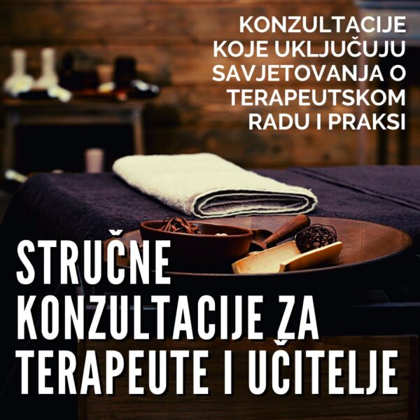Stručne konzultacije za terapeute i učitelje